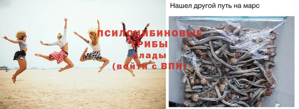 гашик Балахна