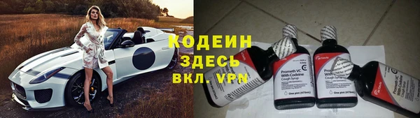 ГАЛЛЮЦИНОГЕННЫЕ ГРИБЫ Баксан
