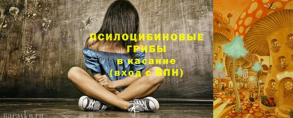 ГАЛЛЮЦИНОГЕННЫЕ ГРИБЫ Баксан