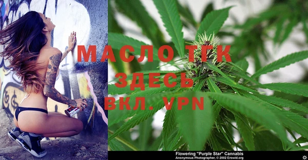 ГАЛЛЮЦИНОГЕННЫЕ ГРИБЫ Баксан