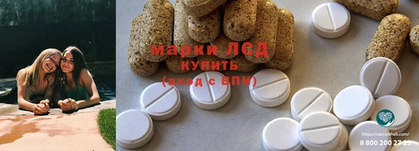 ГАЛЛЮЦИНОГЕННЫЕ ГРИБЫ Баксан