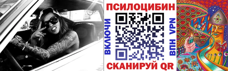 Псилоцибиновые грибы Psilocybine cubensis  Пересвет 